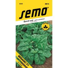 Semená špenátu siateho Hudson F1 od SEMO.
