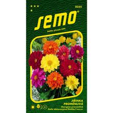 Semená georgíny premenlivej v balení 1g.