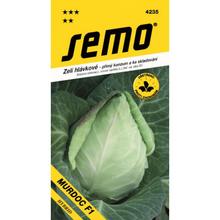 Semená kapusty Murdoc F1 od SEMO.