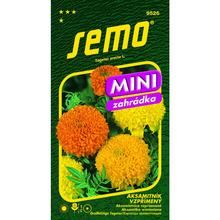 Semená akasamiatnice vzpriamenej Cupidon 0,5g