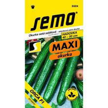 Semená uhorky šalátovej Orca F1 od SEMO.