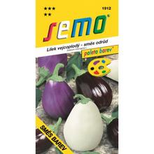 Semená baklažánu rôznych farieb.