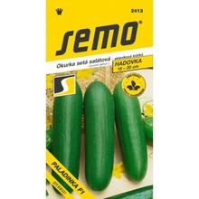 Semená uhorky Paladinka F1 od SEMO