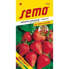 Semená jahody Delician F1 od SEMO.