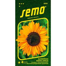 Semená slnečnice ročnej Sonja/Soraya.