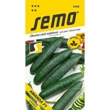 Semená uhorky Šal Amanda F1 v balení 1,3g.