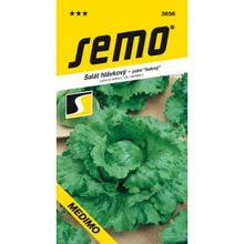 Semená šalátu Ľadový Medimo 0,8g od SEMO.