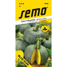 Semená tekvice Blue Kuri - modré Hokkaido.