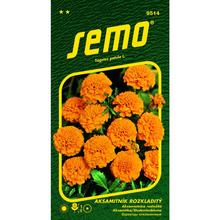 Semená akasamitnice Petit oranžové.