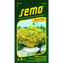 Semená Tarica skalná Gold Cloud 0,4g