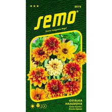 Semená Cínia Haagenova zmes 0,7g