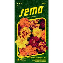 Semená akasamitníc Durango mix.