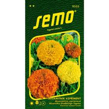 Semená akasamitnice Double Grande zmes 0,5g.