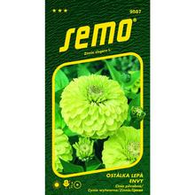 Semená Cínia Envy 0,5g