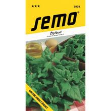 Semená špenátu novozélandského Čtyřboč od SEMO.