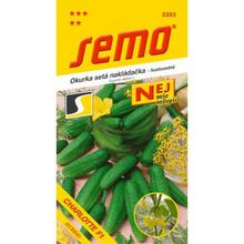 Semená uhorky nakladačky Charlotte F1 od SEMO.