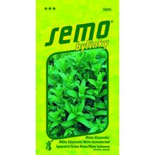 Obal semien mäty klasnatej od SEMO.