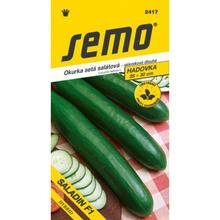 Semená uhorky Saladin F1 od SEMO.