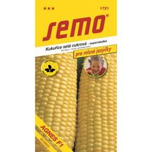 Semená kukurice Cuk. Agn?s F1 3g