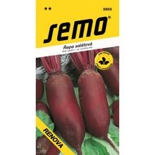 Semená cvikly podlhovastej Renova 3g.