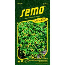 Semená sanvitalie poliehavej žltej 0,5g.