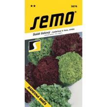Semená šalátu listového farebného zmesi 0,8g od SEMO.