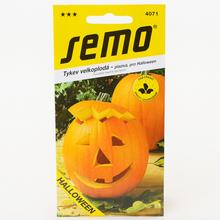 Semená tekvice Giganta od SEMO, balenie 2g.