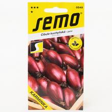 Semená cibule Karminka jarná v balení 1,50g.