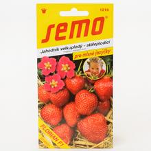 Semená jahody Florian F1 - veľkoplodá