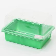 Miniparenisko Herrison P2016 na priesady v zelenej farbe s priehľadným vekom.