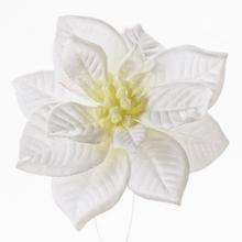 Biela umelá poinsettia na klipe.