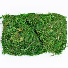 Sušený aranžérsky materiál NATUR MACH 50GR