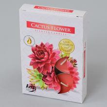 Sviečky s vôňou kvetu kaktusu.