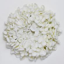 Biely vianočný veniec s krémovými kvetmi.