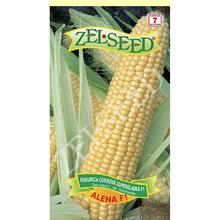 Semená kukurice cukrovej Alena F1 18g