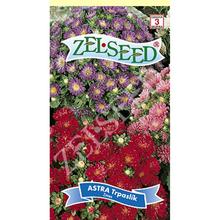 Semená astra trpaslík nízka zmes 0,7g