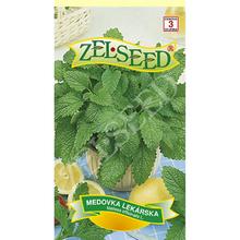 Semená medovky lekárskej od ZELSEED.