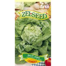 Obal semien šalátu jarného lednického.