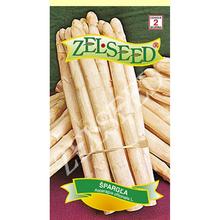 Biela špargľa Argentuil od ZELSEED