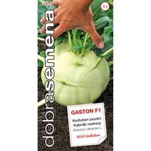 Semená kalerábu neskorého Gaston F1