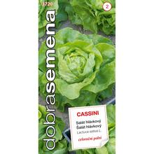 Obal semien hlávkového šalátu Cassini.