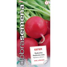 Semená reďkovky skorá Ester 3g.