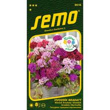 Semená klinček bradatý Fragrance Mix od SEMO.