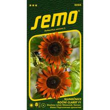 Semená slnečnice ročnej Claret F1 v balení 2g.