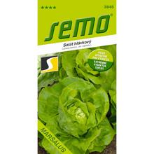 Semená šalátu hlávkového Maršálus 0,5g