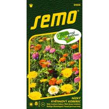 Semená zmesi nízky kvetinový koberec 6g.