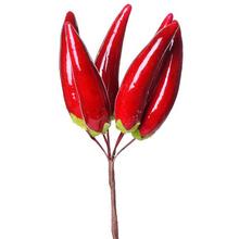 Zväzok červených papričiek na jesennú dekoráciu.