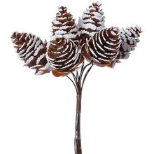 Prírodné šišky na vianočné dekorácie, balenie 6 kusov.