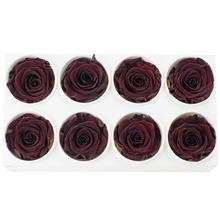 Ruža preparovaná burgundy v balení po 8 kusoch.