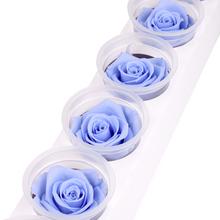 Preparovaná ruža v modrej farbe v plastovom obale.